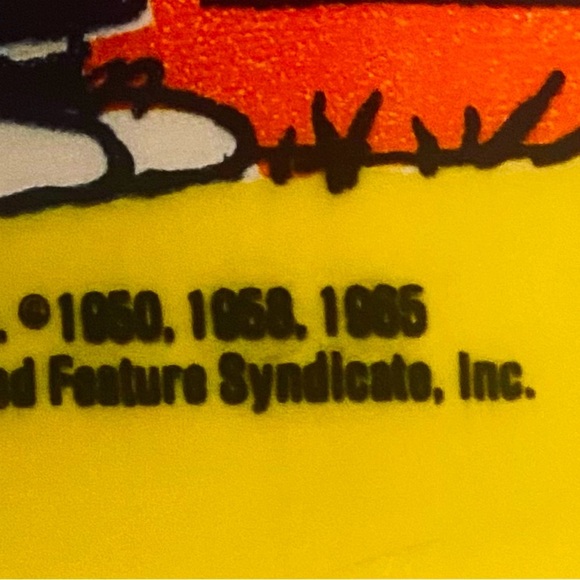 Vintage 🥜 1985 Peanuts Thermos Lunchbox Set - Picture 2 of 6